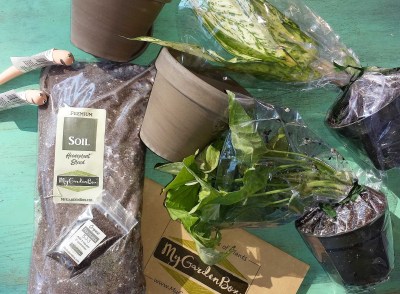 My Garden Box Subscription Review – January 2017