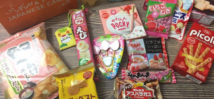 Tokyo Treat February 2017 Subscription Box Review
