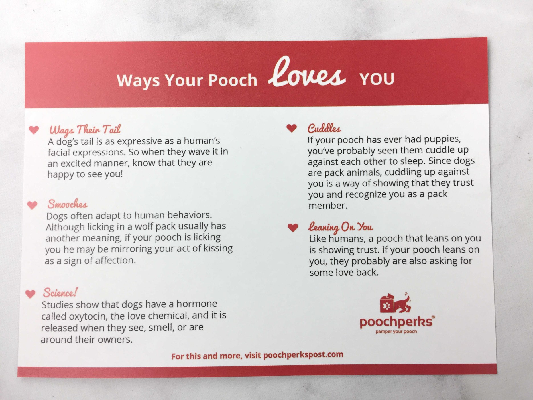 Pooch Perks February 2017 Subscription Box Review + Coupon! Hello