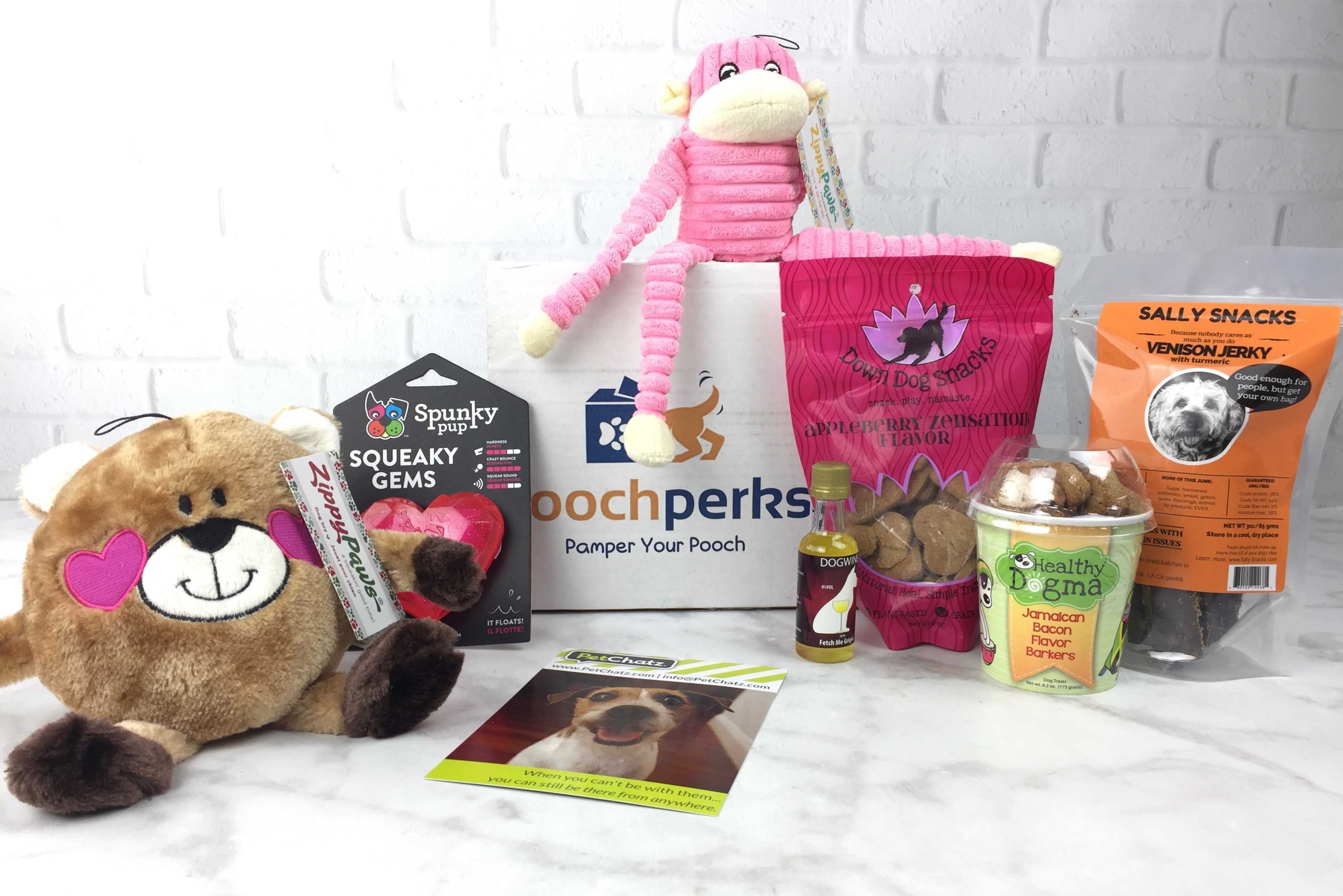 Pooch Perks February 2017 Subscription Box Review + Coupon! Hello