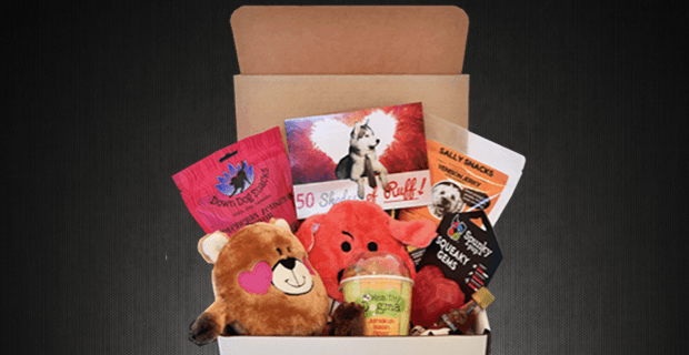 Pooch Perks February 2017 Spoilers + Coupon