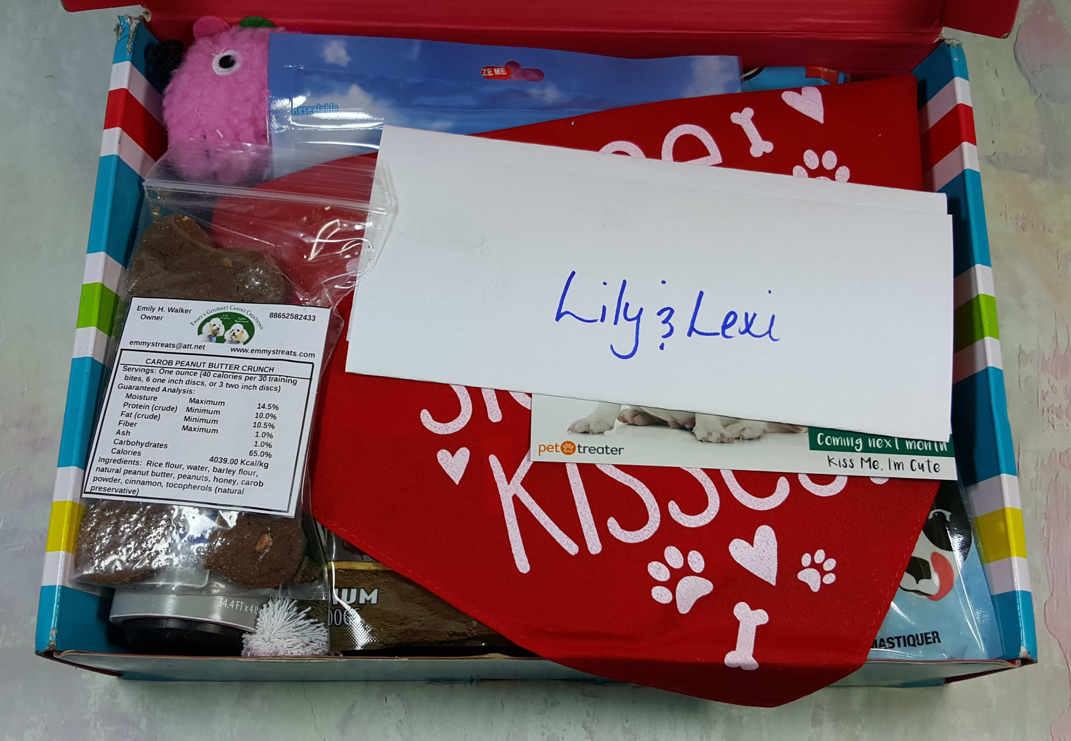 Pet Treater Dog Subscription Box Review + Coupon February 2017