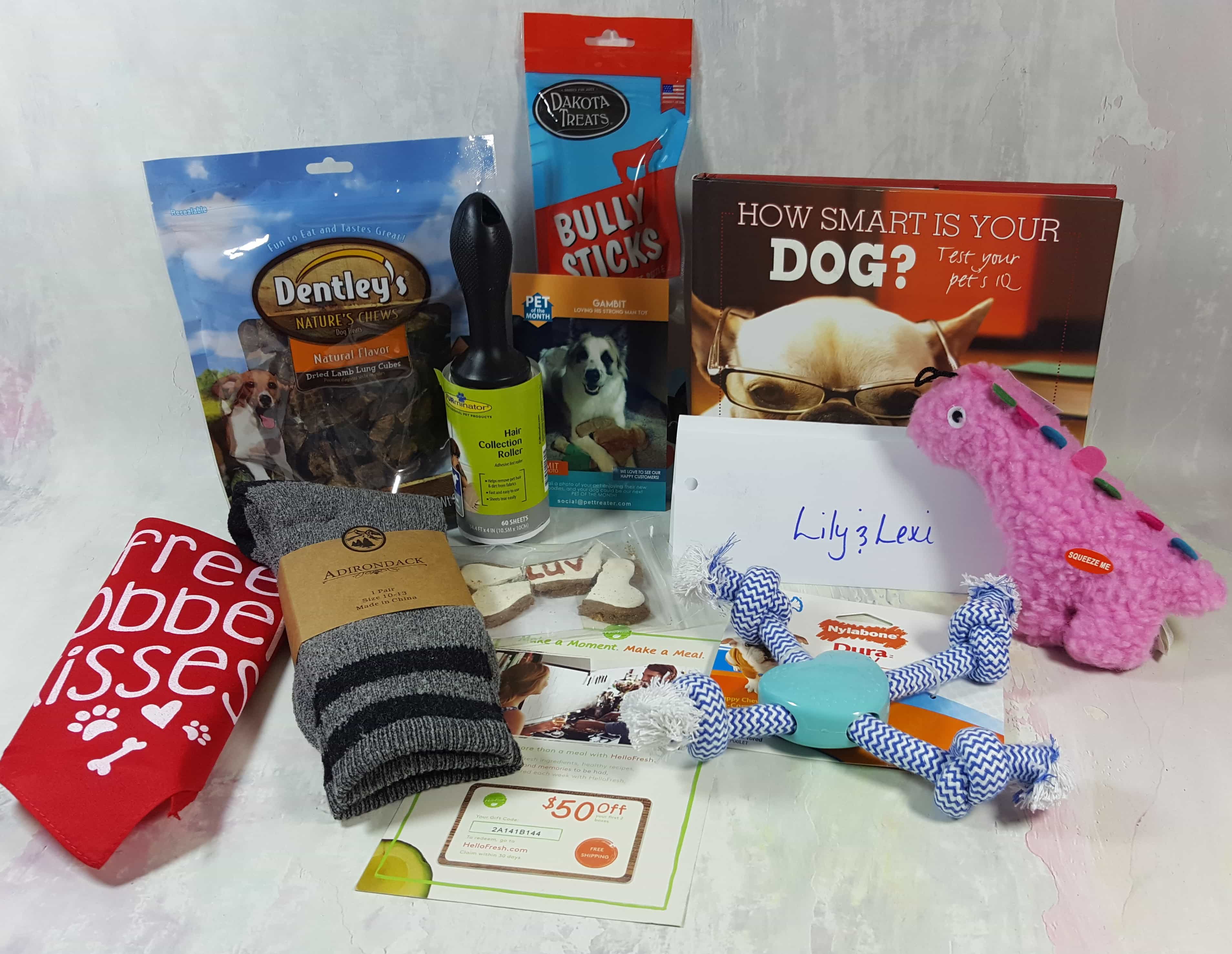 Pet Treater Dog Subscription Box Review + Coupon - February 2017