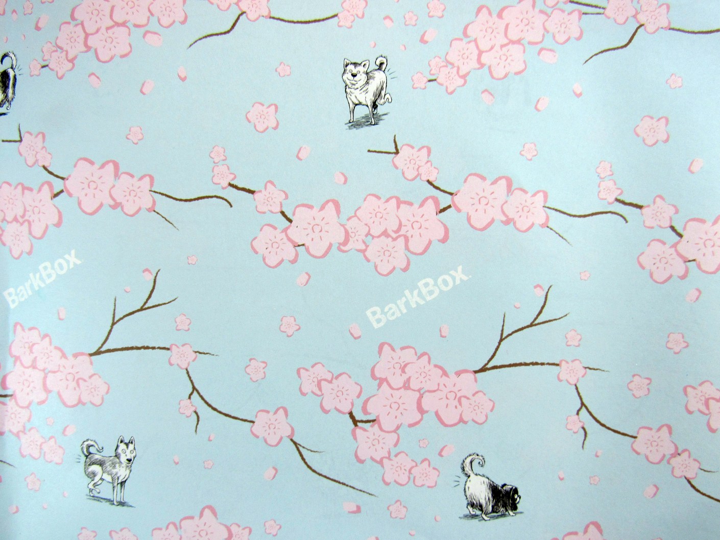 Barkbox March 2017 Subscription Box Review + Coupon Large Dog Hello