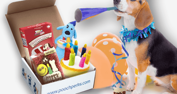 Pooch Perks Birthday Boxes Now Available + Coupon!