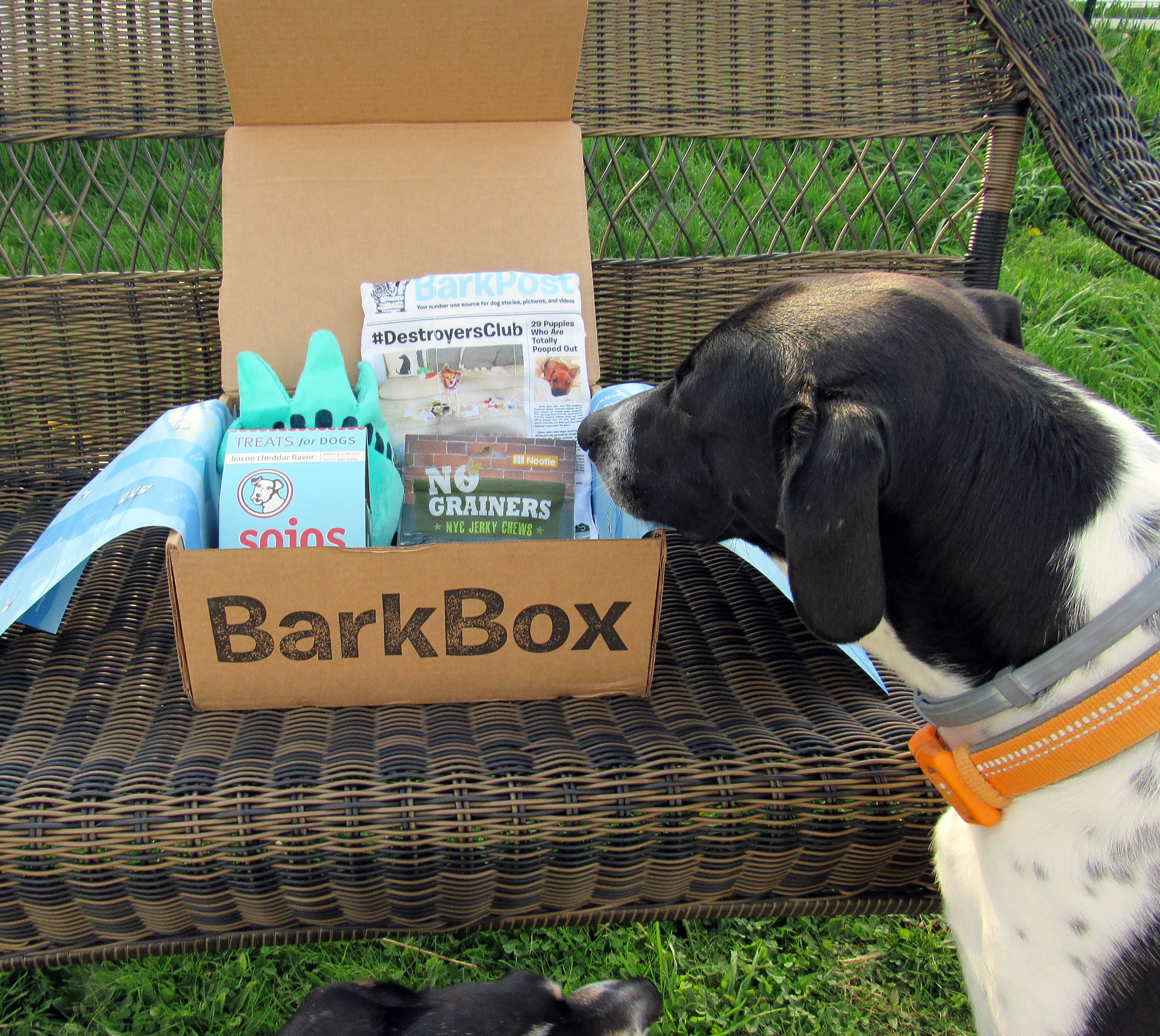 Barkbox April 2017 Subscription Box Review + Coupon Large Dog Hello