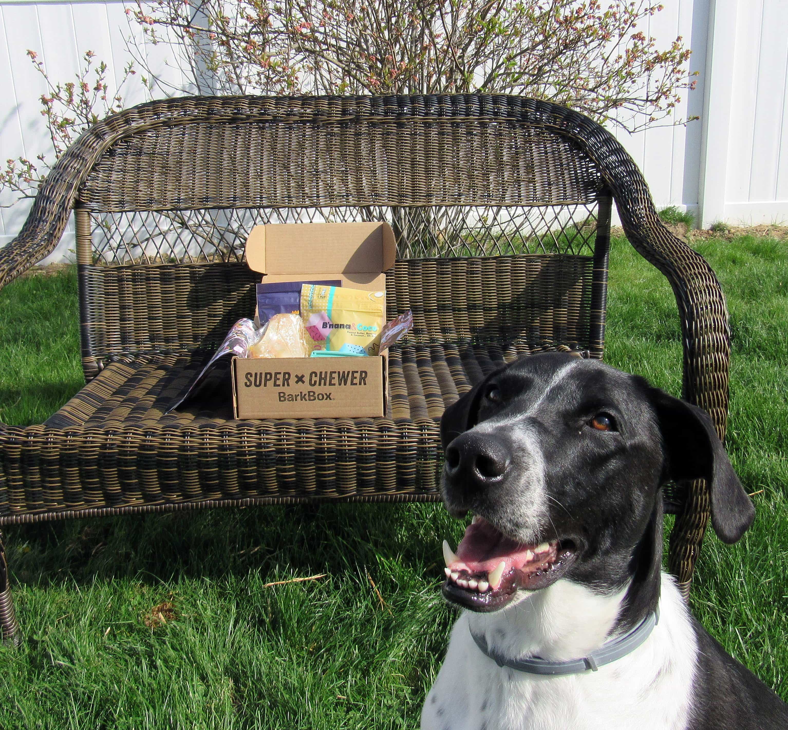 Barkbox April 2017 Subscription Box Review Super Chewer Hello