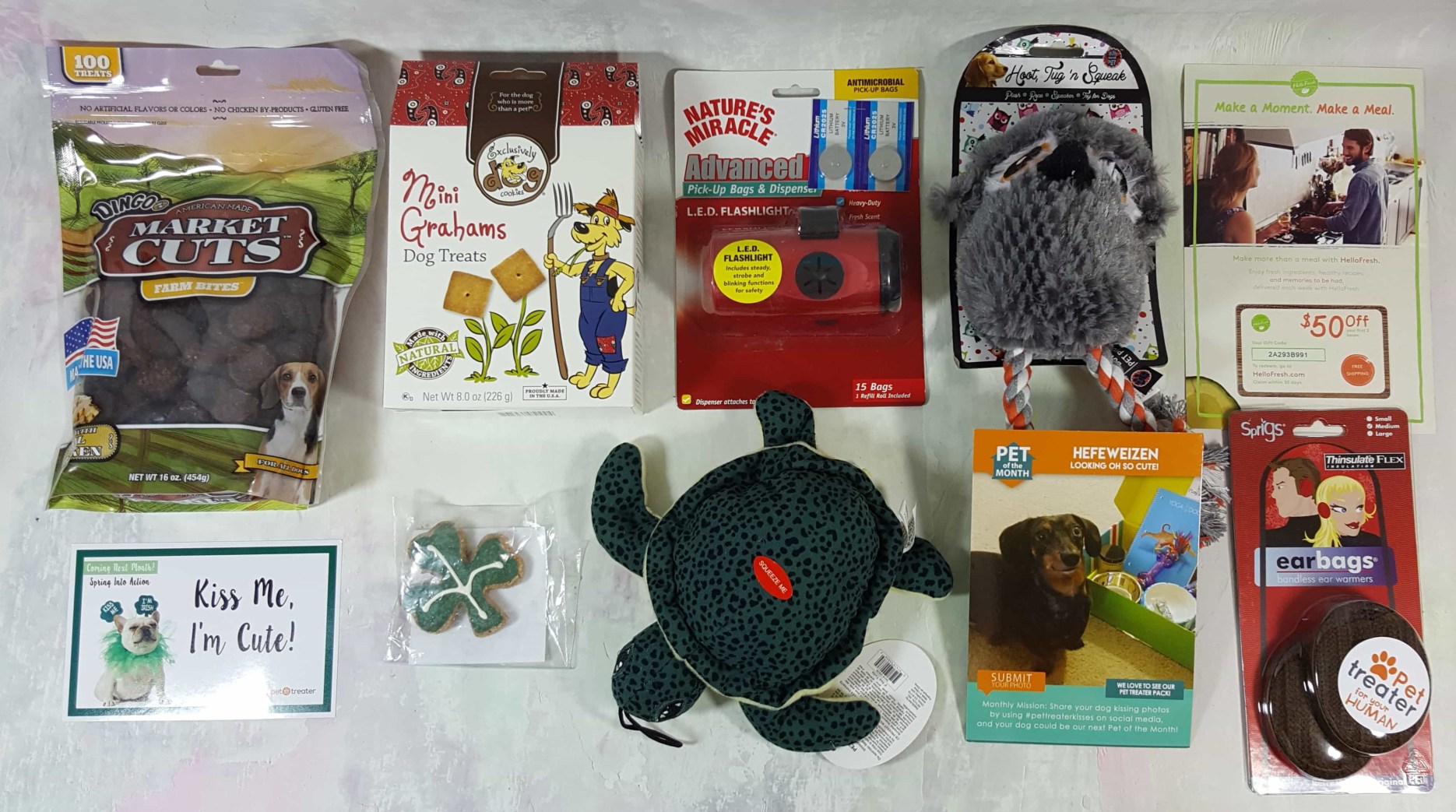 Pet Treater Dog Subscription Box Review + Coupon - March 2017 - Hello
