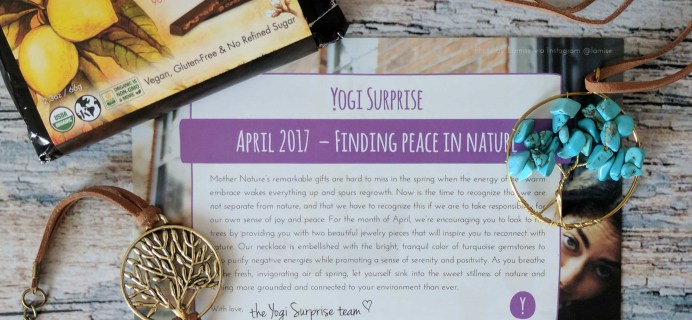 Yogi Surprise Jewelry Box Subscription Review – April 2017