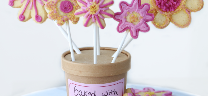 Foodstirs Darling Daisy Cookie Bouquet Kit Giveaway!