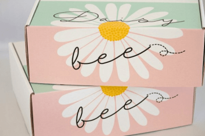 Daisy Bee May 2017 Theme Spoilers + Coupon!