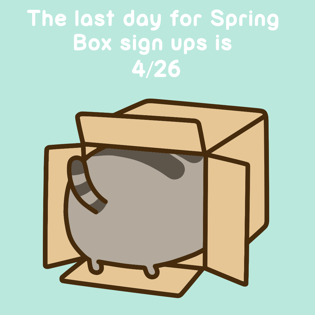 Pusheen Box Spring 2017 Box - Last Day 4/26! - Hello Subscription