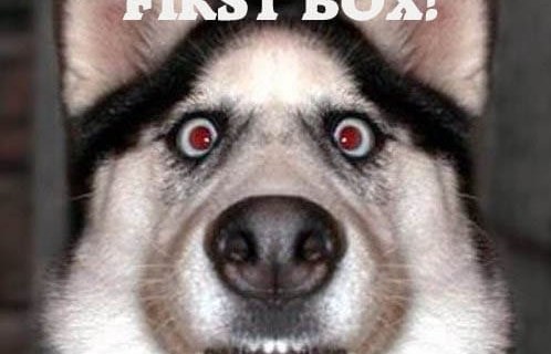 Pet Treater Coupon: 25% OFF Your First Box!