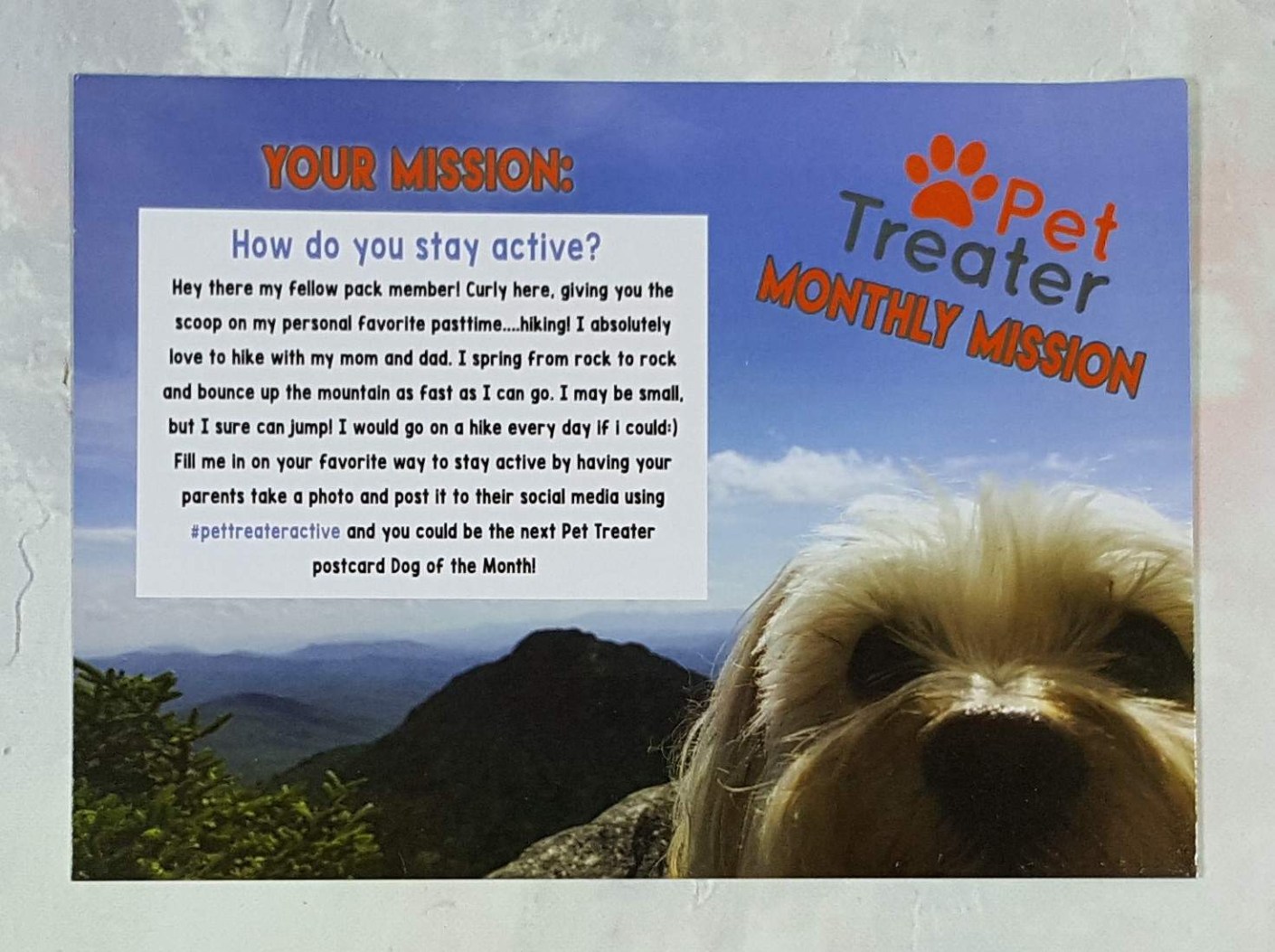 Pet Treater Dog Subscription Box Review + Coupon - April 2017 - Hello