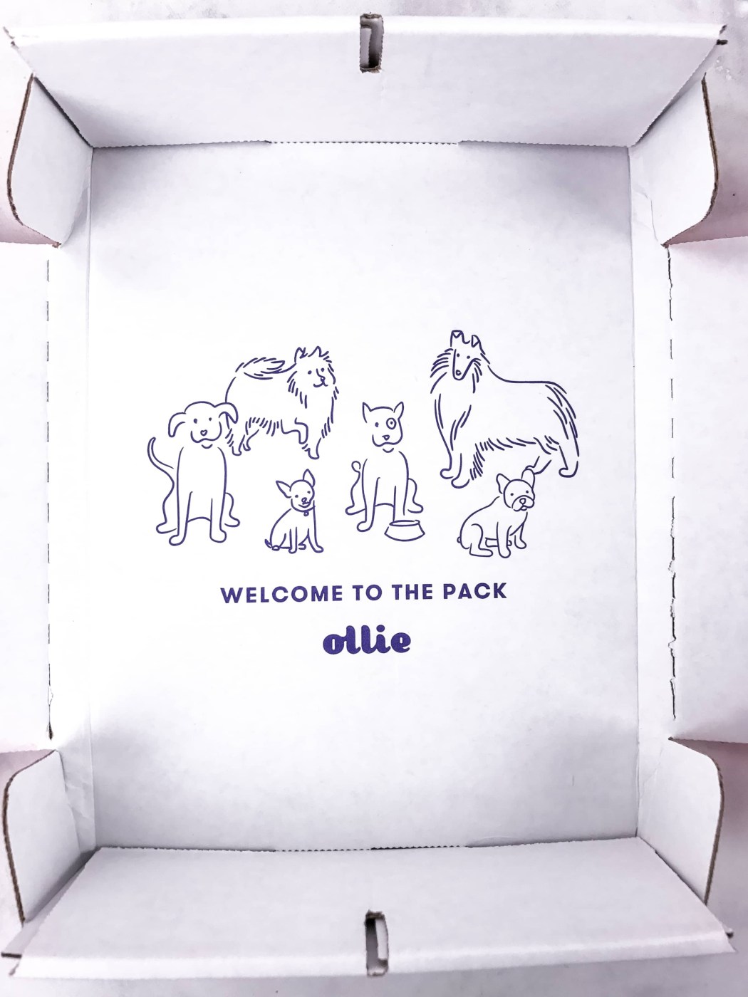 Ollie Dog Food Subscription Box Review May 2017 hello subscription