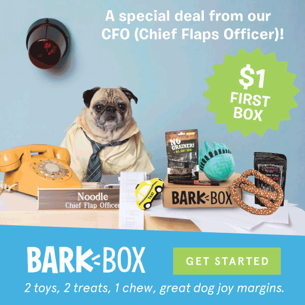 BarkBox Coupon First Box FREE with 6+ Month Subscription! hello