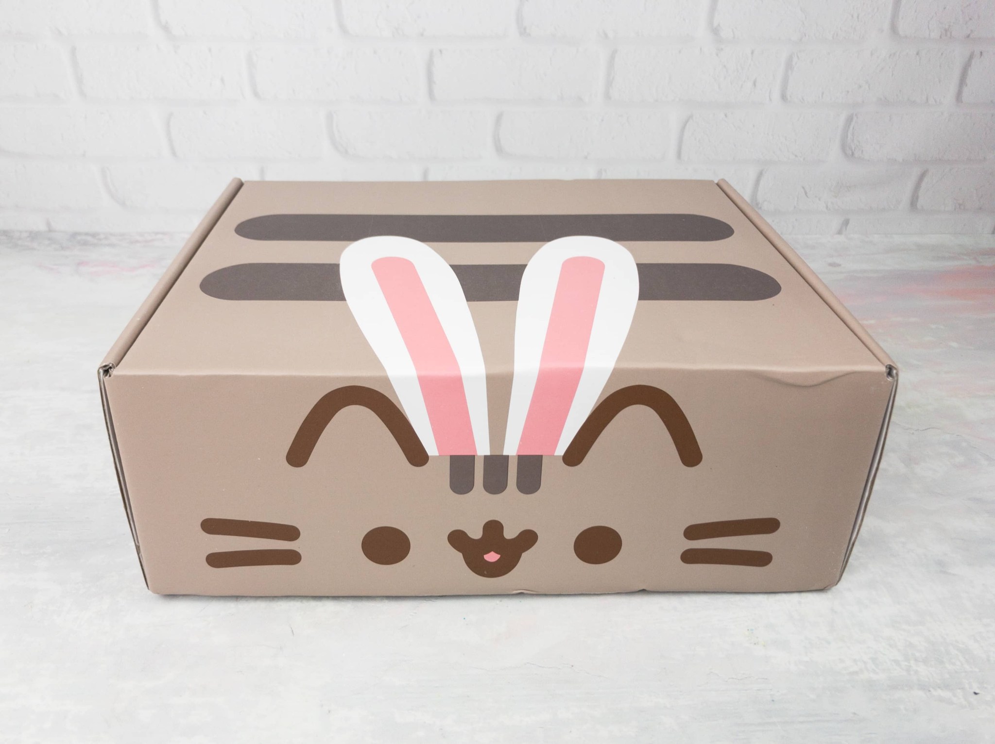 Pusheen Box Reviews Get All The Details At Hello Subscription!