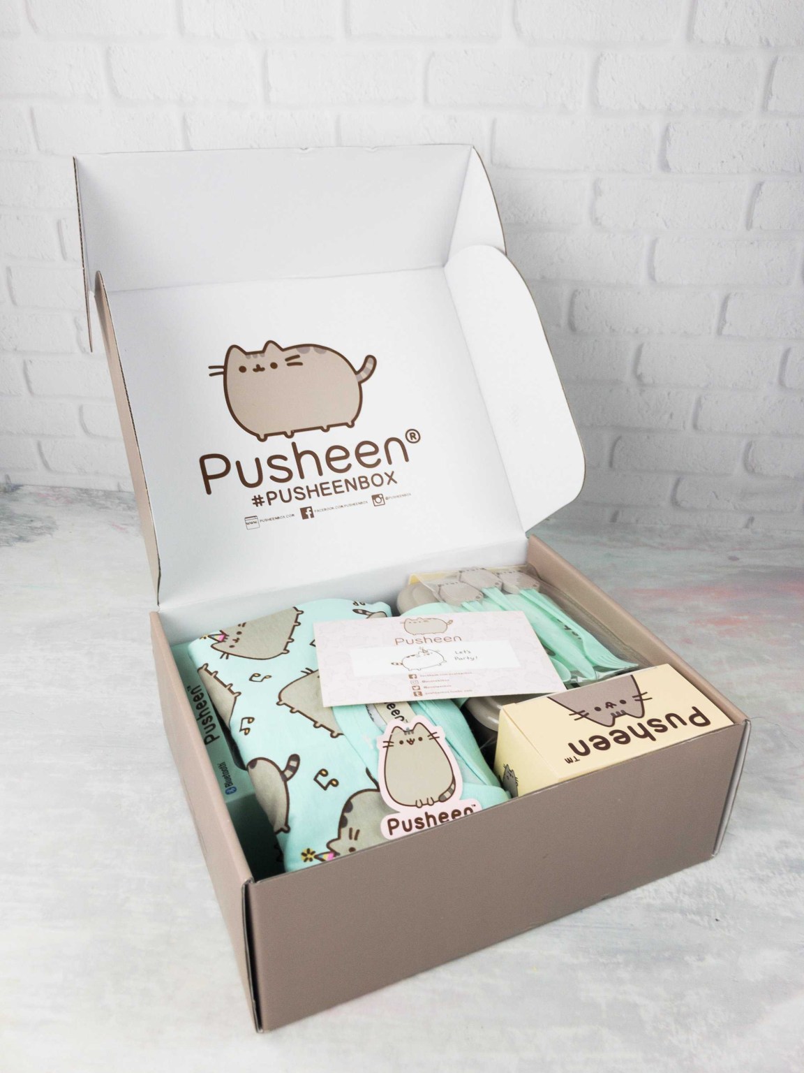 Pusheen Box Spring 2017 Subscription Box Review - Hello Subscription