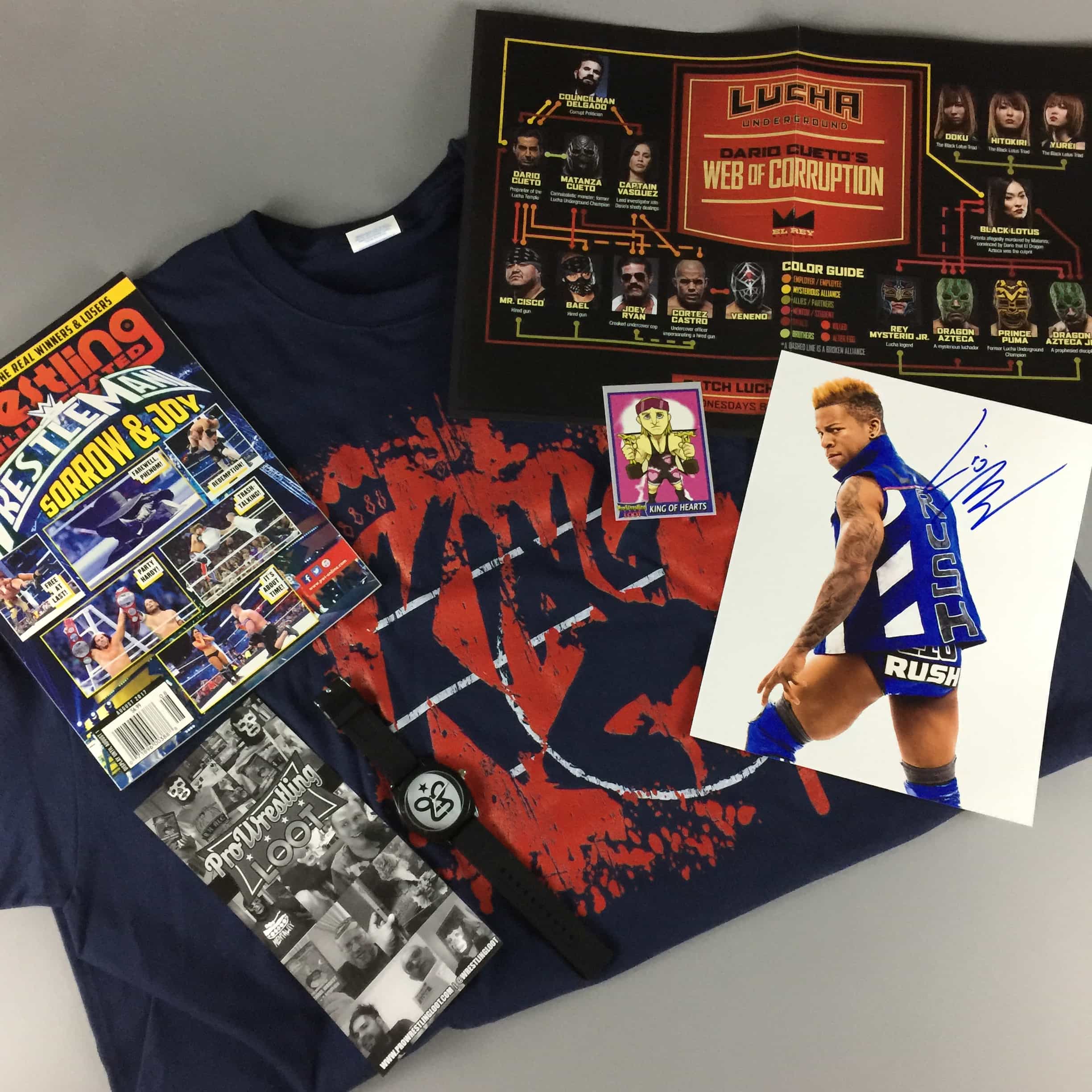 Pro Wrestling Loot June 2017 Subscription Box Review + Coupon Hello