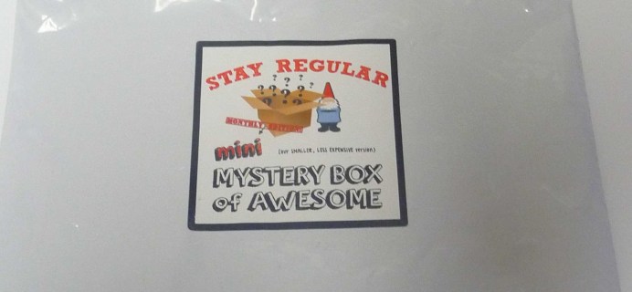 May 2017 Mini Stay Regular Monthly Mystery Box Subscription Box Review