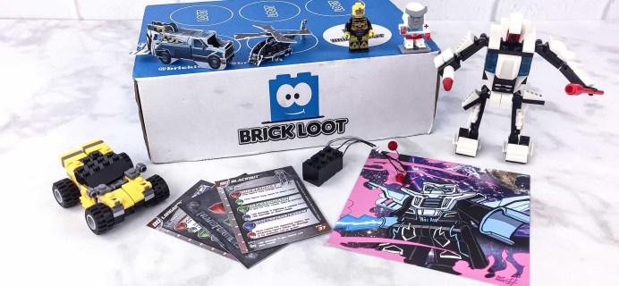 Brick Loot June 2017 Subscription Box Review & Coupon