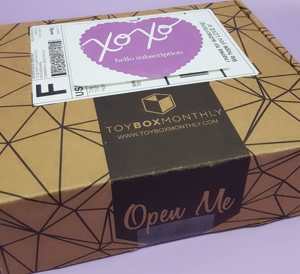 Toy Box Monthly June 2017 Subscription Box Review Hello Subscription