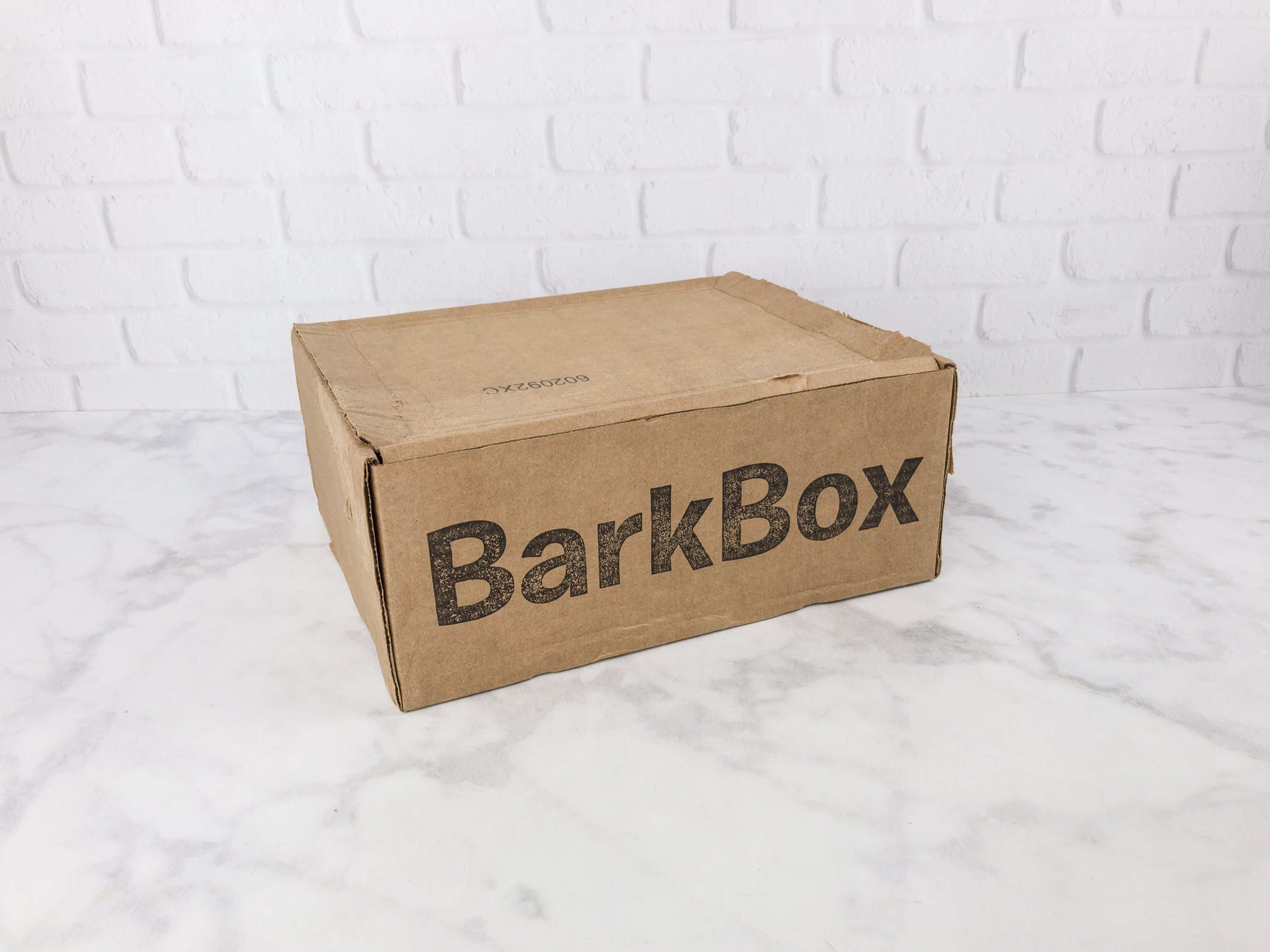 Barkbox large dog Clearance