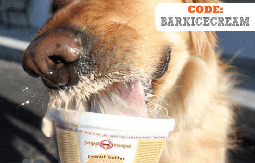 Pet Treater Coupon: Two Free Pints of Dog Ice Cream With Subscription!