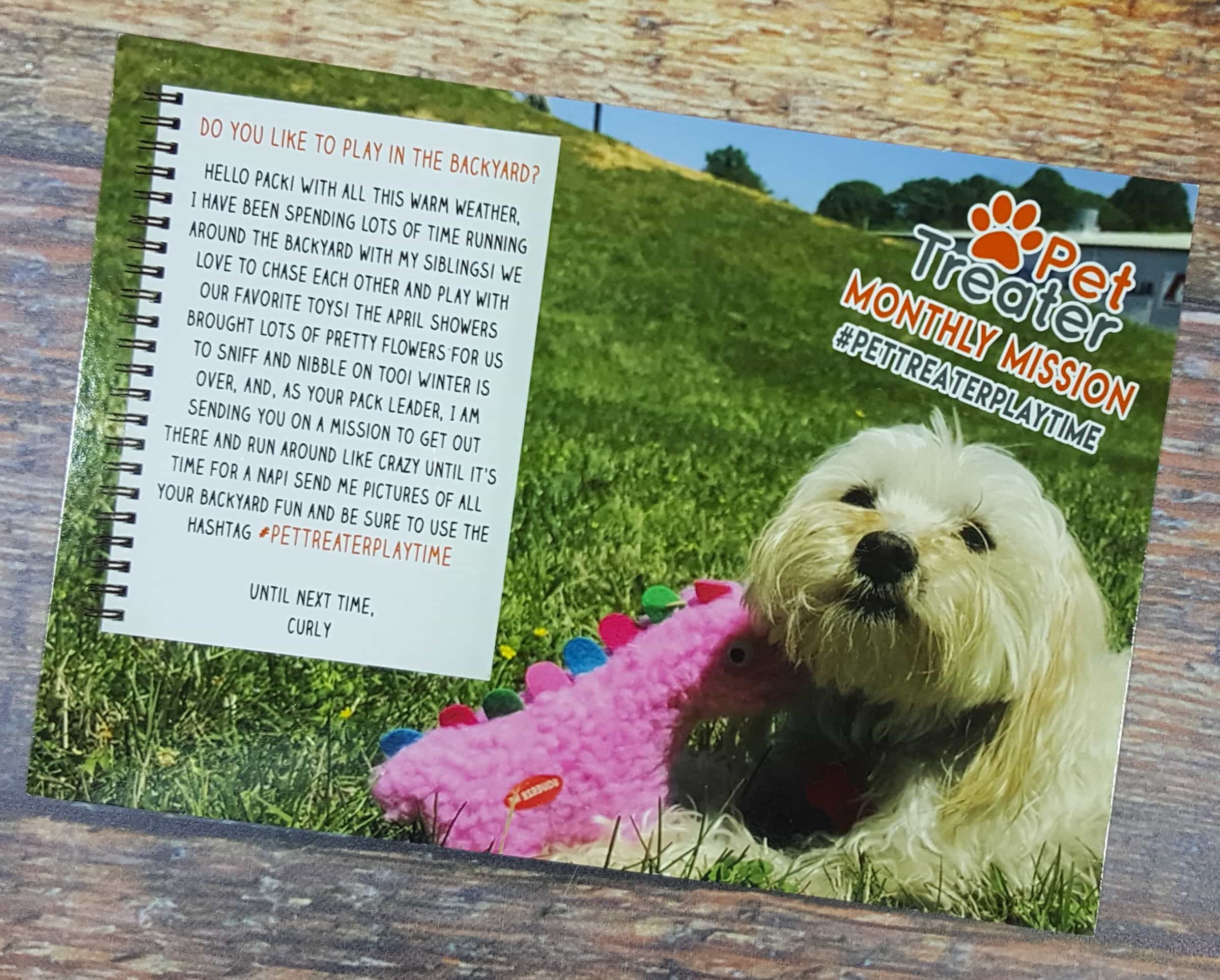 Pet Treater Dog Subscription Box Review + Coupon - May 2017 - Hello