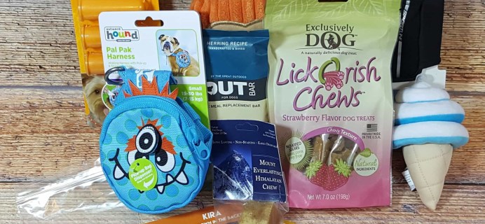 Pet Treater Dog Subscription Box Review + Coupon – July 2017