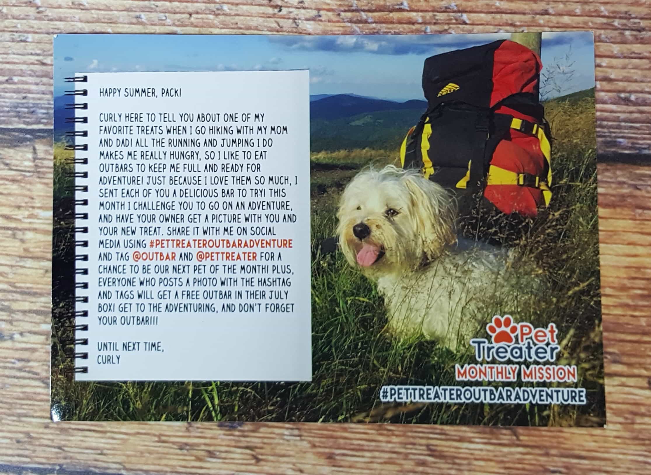 Pet Treater Dog Subscription Box Review + Coupon - July 2017 - Hello