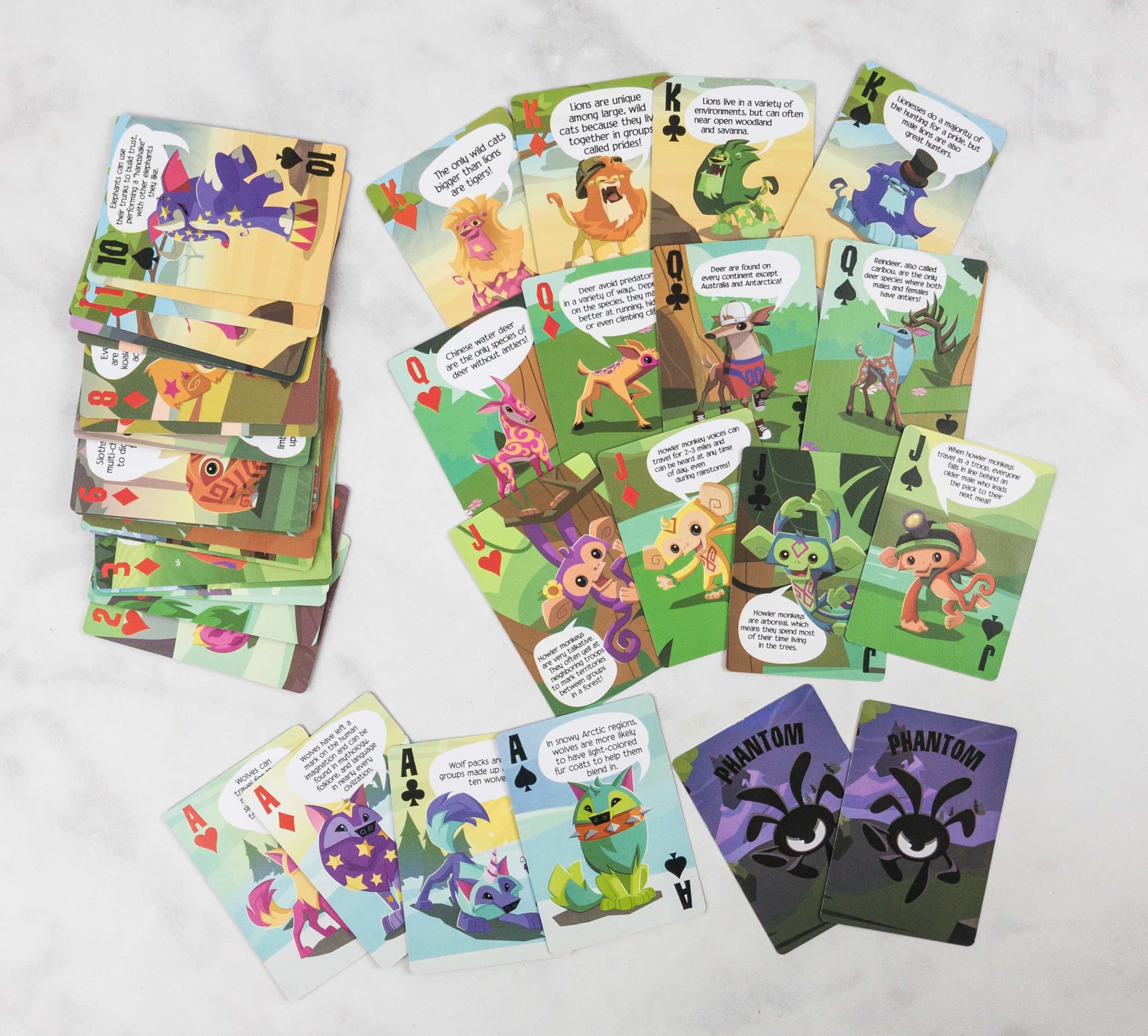 Animal Jam Box Summer 2017 Review hello subscription