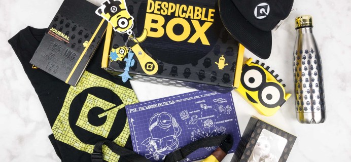 The Despicable Box Summer 2017 Subscription Box Review + Coupon
