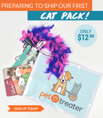 New Pet Treater Cat Pack Monthly Subscription Available Now!