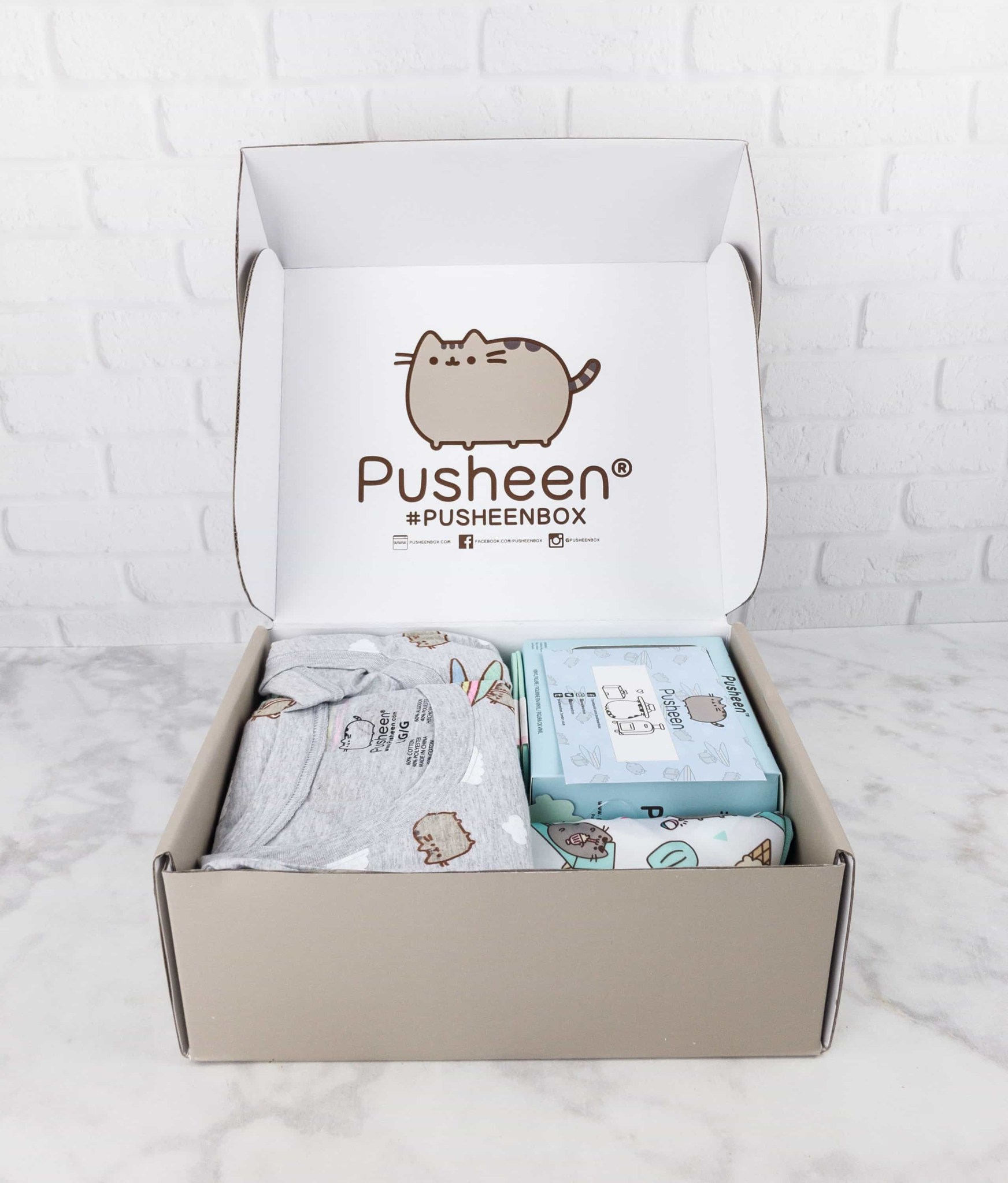 Pusheen Box Summer 2017 Subscription Box Review - Hello Subscription