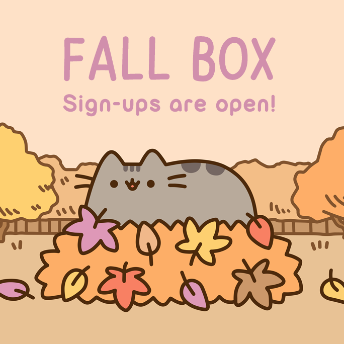 Pusheen Box Fall 2017 Full Spoilers! - Hello Subscription