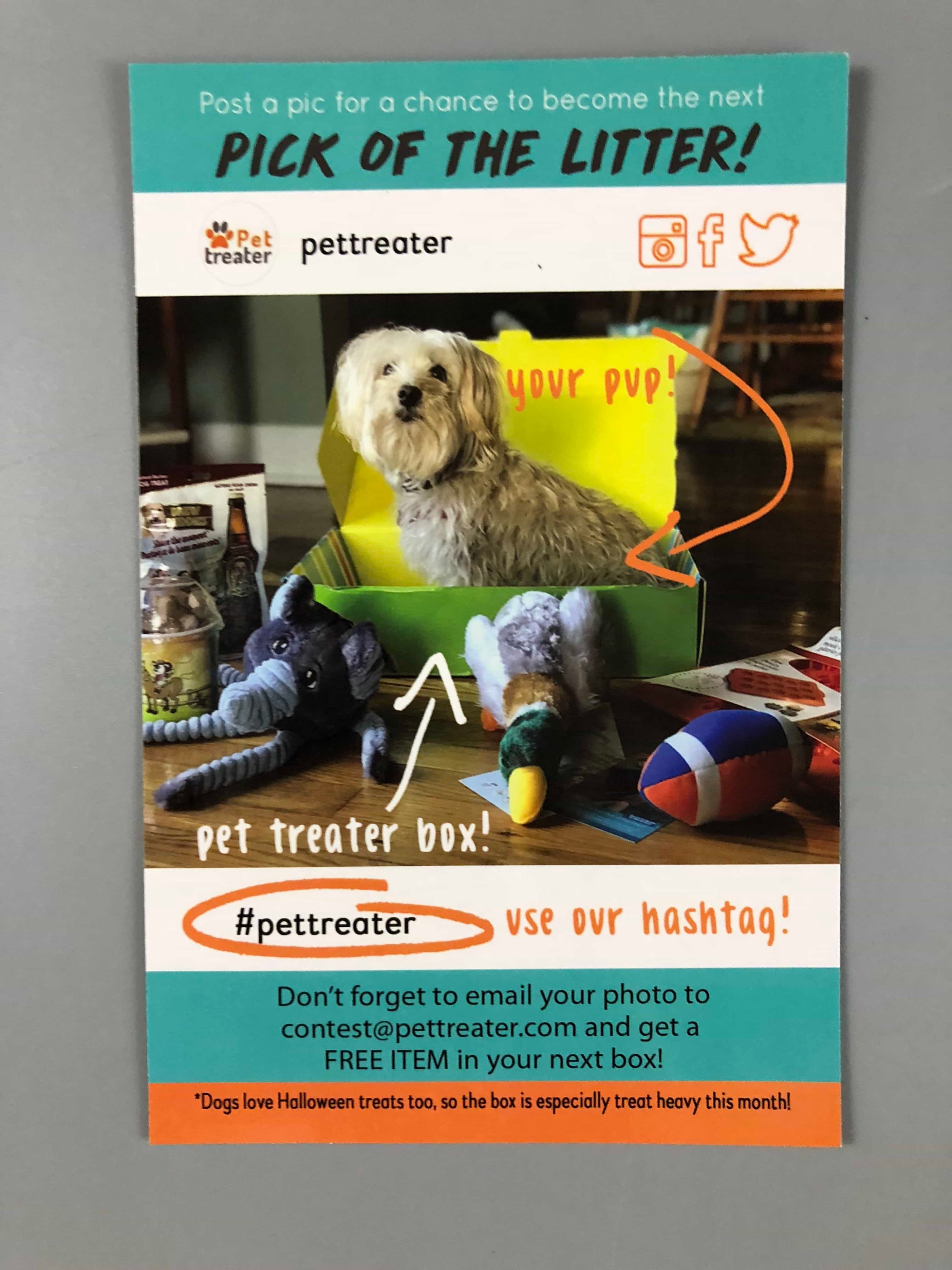 Pet Treater Dog Subscription Box Review + Coupon - October 2017 - Hello