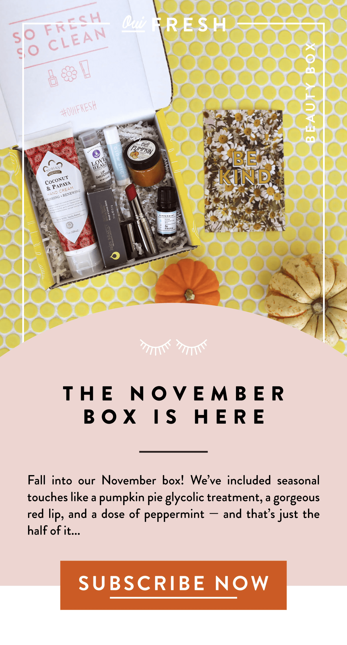 Oui Fresh November 2017 Full Spoilers! - Hello Subscription