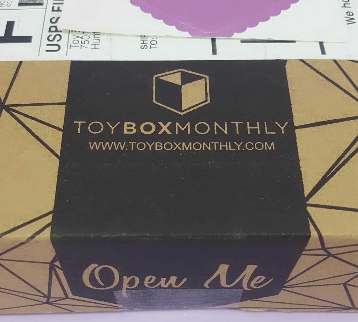 Toy Box Monthly September 2017 Subscription Box Review Hello Subscription