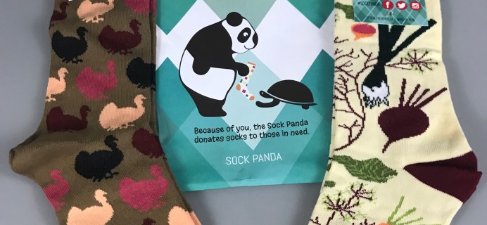 Sock Panda Women Socks November 2017 Subscription Review + Coupon