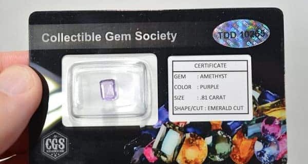 Collectible Gem Society 2017 Black Friday Deal: Get 20% off your first month!