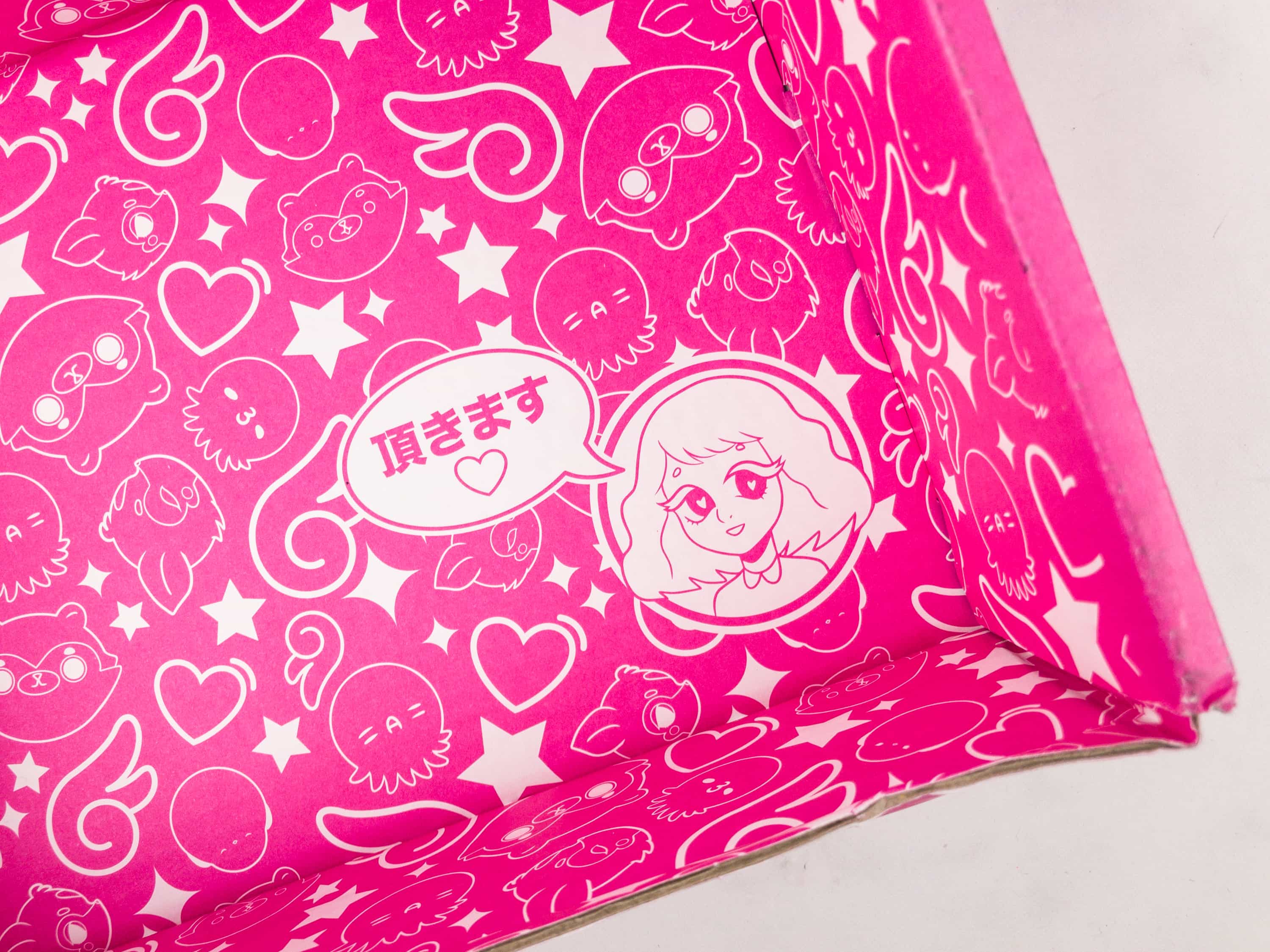 Doki Doki Boxie Subscription Box Review - January 2017 Review - Hello  Subscription