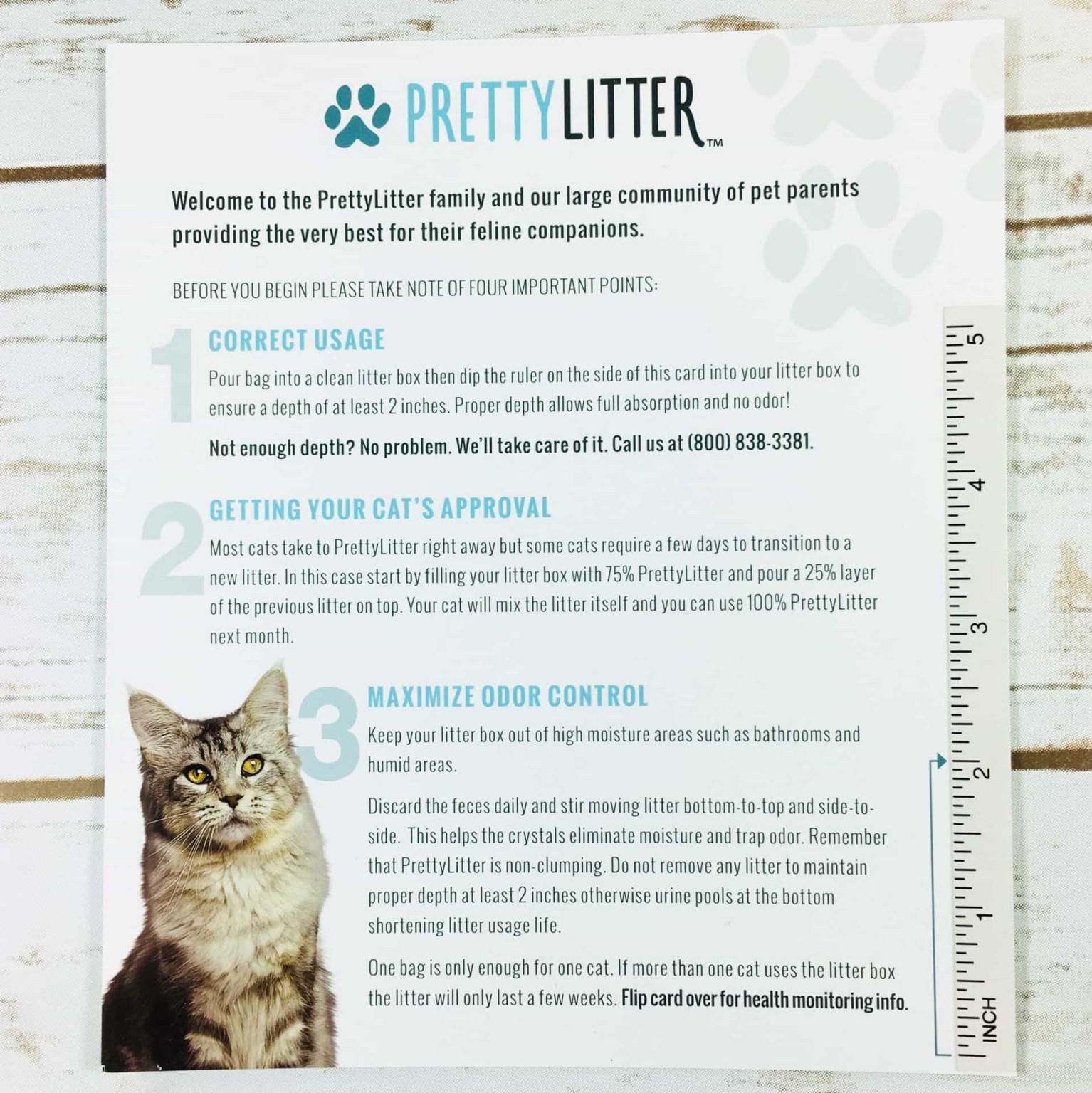 PrettyLitter Subscription Box Review + Coupon Hello Subscription