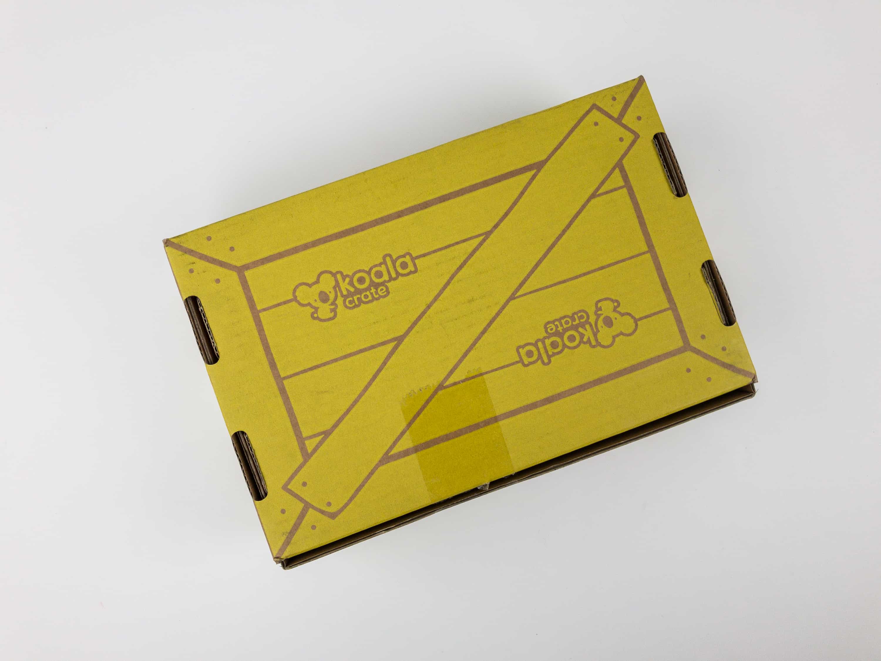 Koala Crate Subscription Box Review & Coupon - BUGS! - Hello