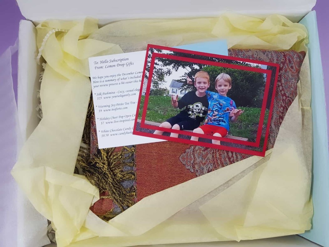 Lemon Drop Box December 2017 Subscription Box Review & Coupon - hello ...