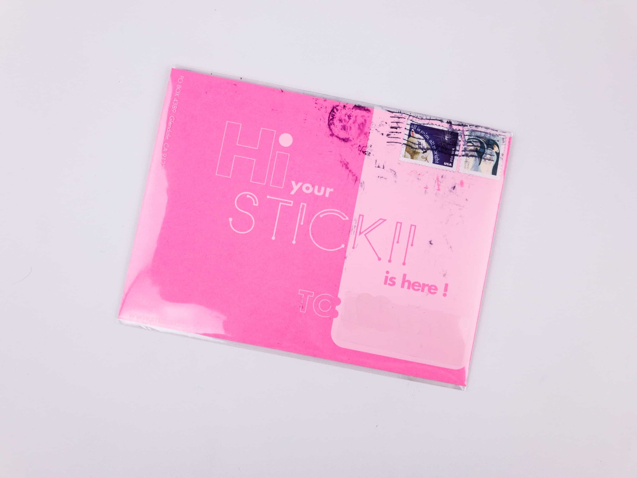 Stickii Club November 2017 Subscription Box Review - Cute Pack! - Hello ...