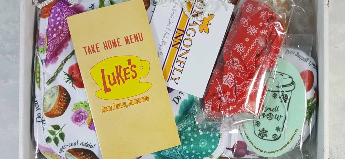 Stars Hollow Monthly Subscription Box Review – November 2017
