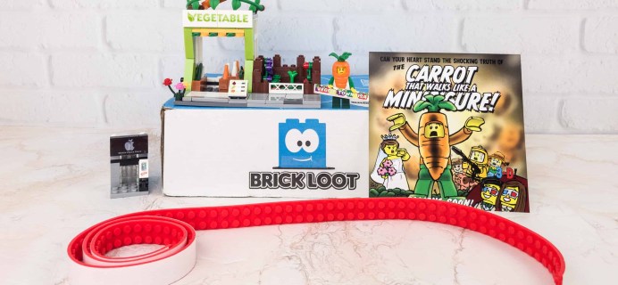 Brick Loot January 2018 Subscription Box Review & Coupon