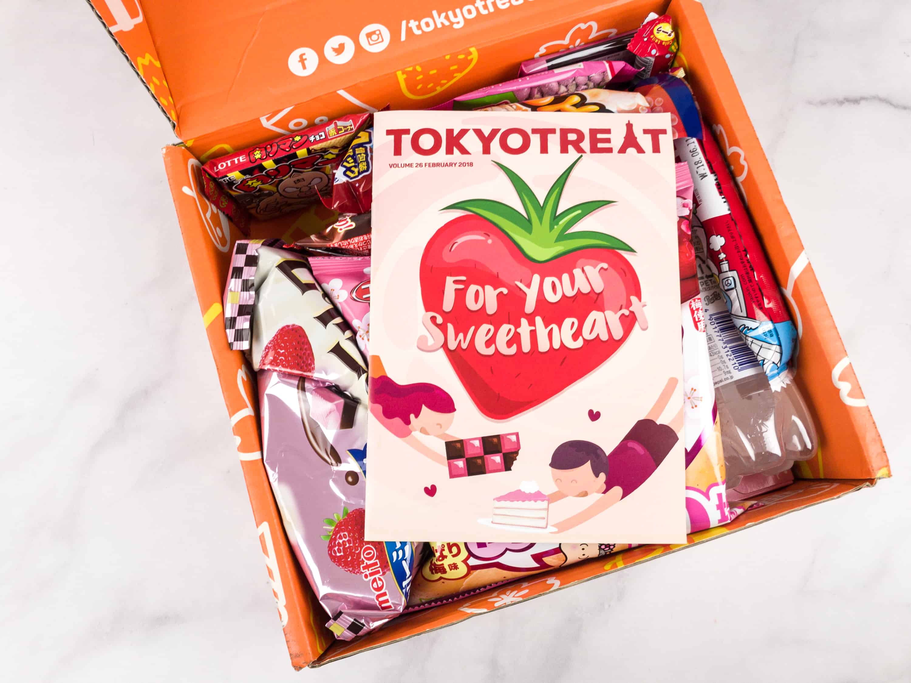 TokyoTreat February 2021 Premium Box - Spoilers!