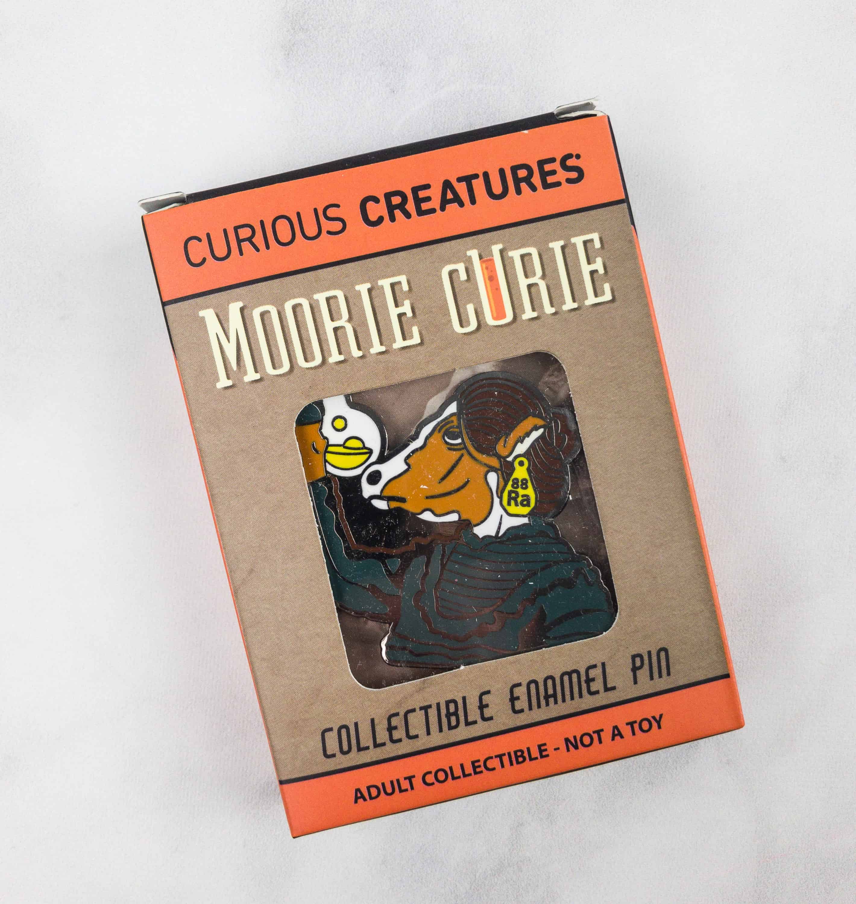 Pin on curious creatures